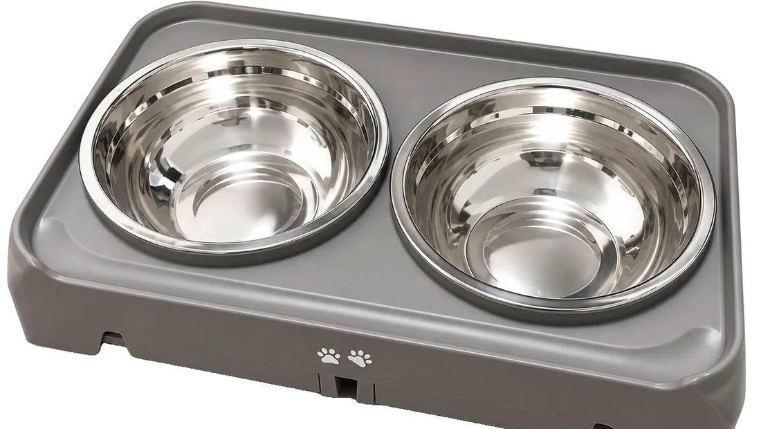 Raised Dog Bowls: Practical Benefits and Fit Checks
