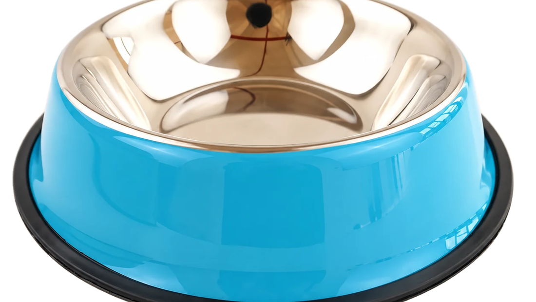 Best Dog Bowls in Australia: Compare Size, Shape and Care